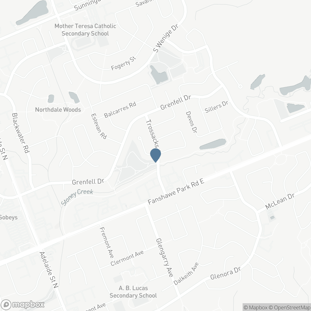 89 MCTAGGART COURT, London, Ontario N5X 3L9